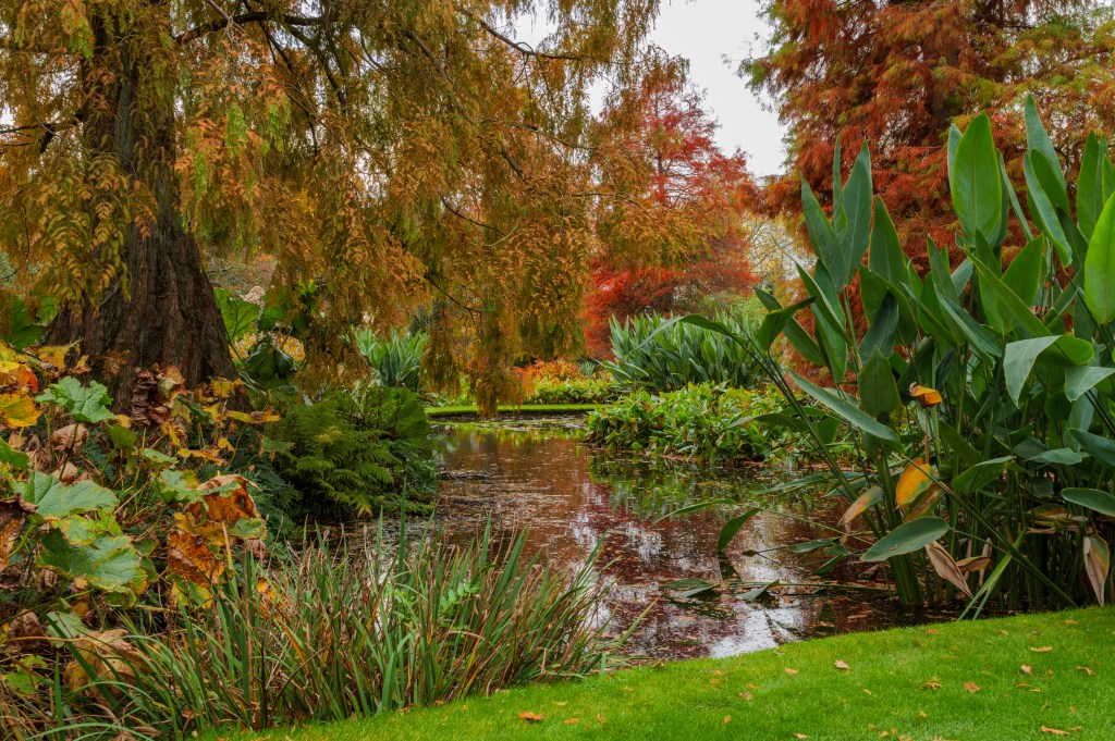 Sigma 20-200mm F3.5-6.3 DG Contemporary lens sample, botanical garden in autumn