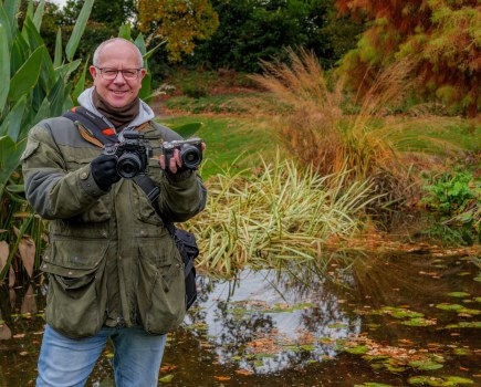 Sony vs Lumix for video