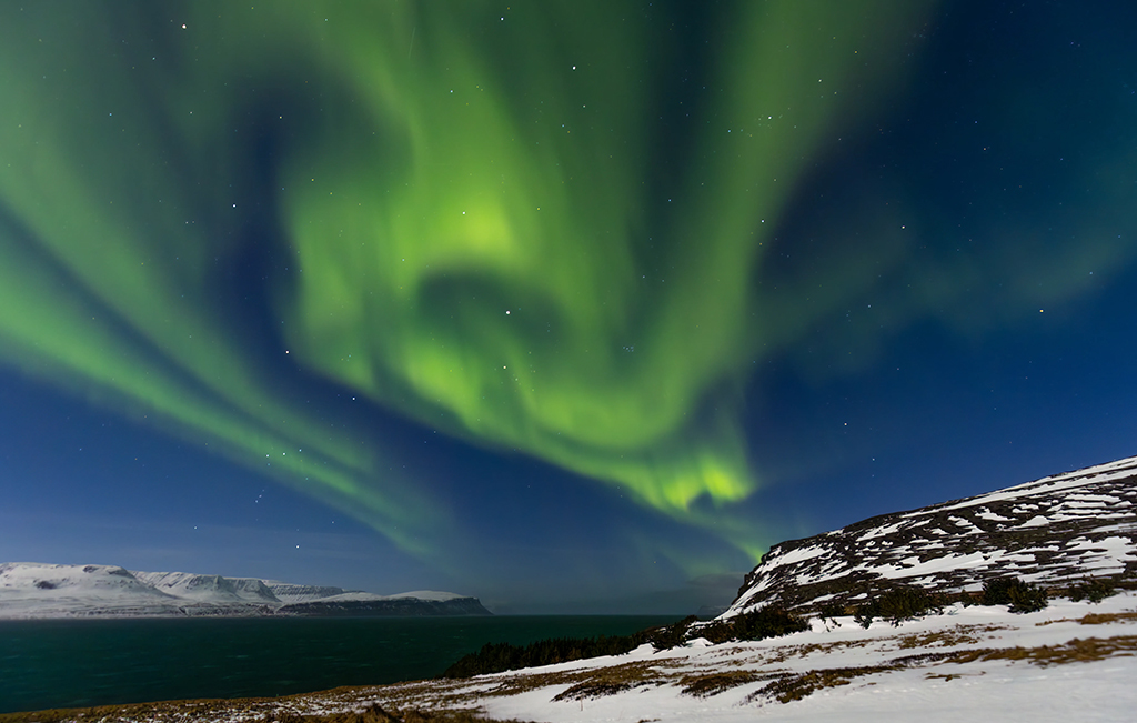 snowy landscape with northern lights overhead