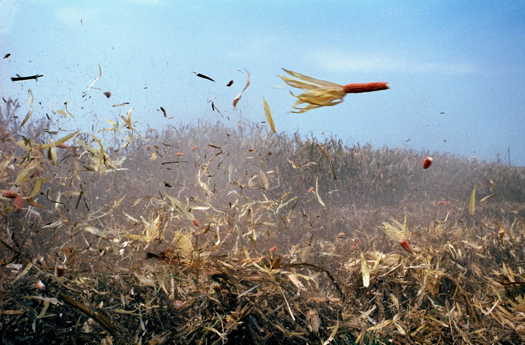 East Carroll. Louisiana. USA. Image Credit: Seamus Murphy SINGLE USE ONLY