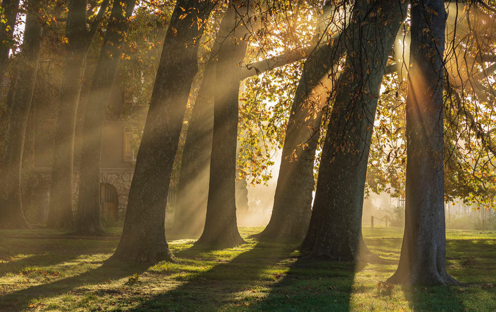 GuruShots Lighting