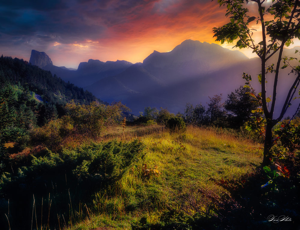 GuruShots lighting