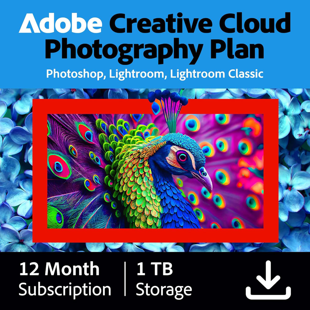 Adobe Black Friday