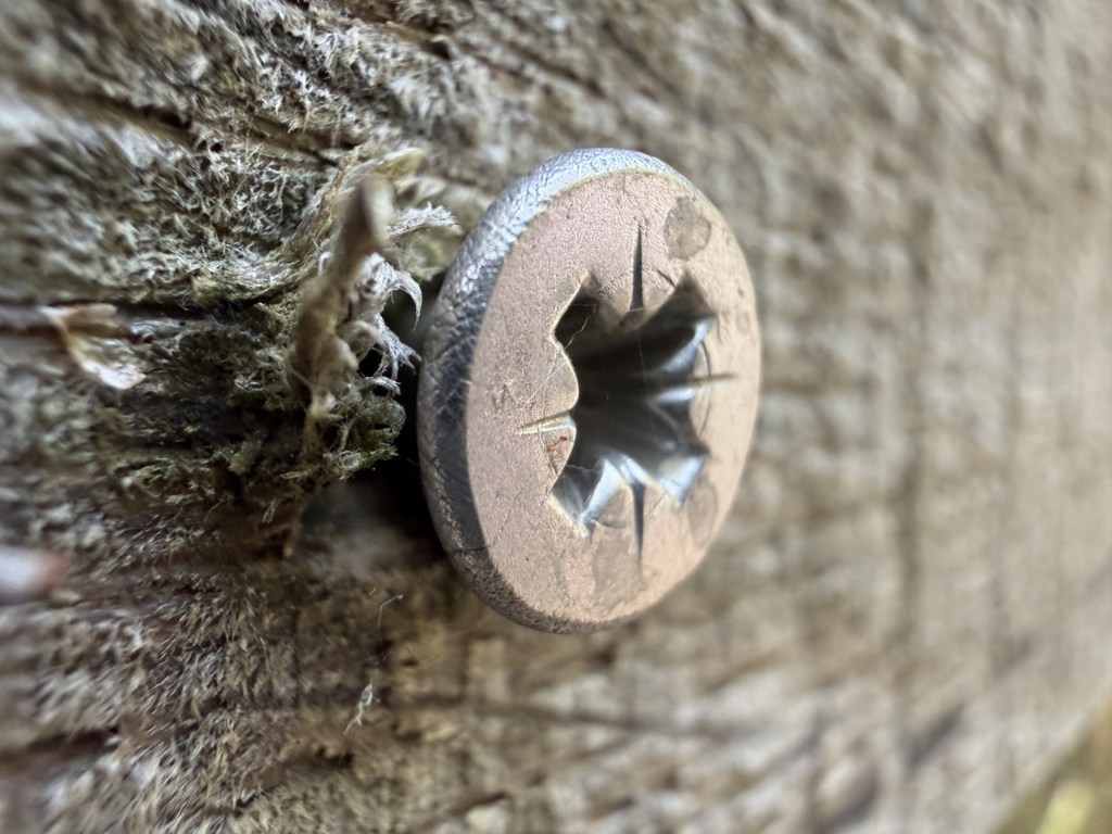 Modern iPhones can make even the mundane look beautiful.