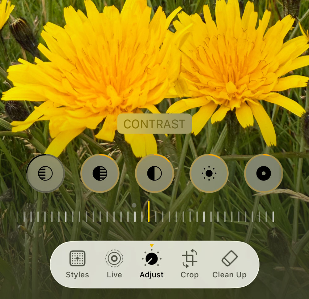 iPhone Photos app tutorial