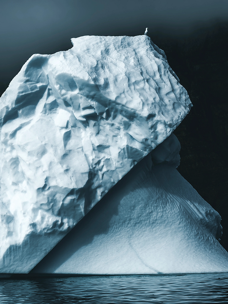 single bird on top of an iceberg