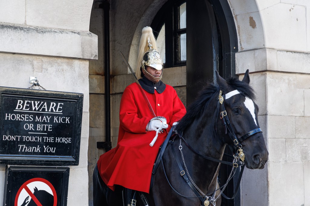 Canon EOS R6 III Horseguard sample image. 