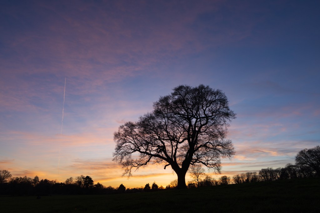 Canon EOS R6 Mark III sunset sample image.