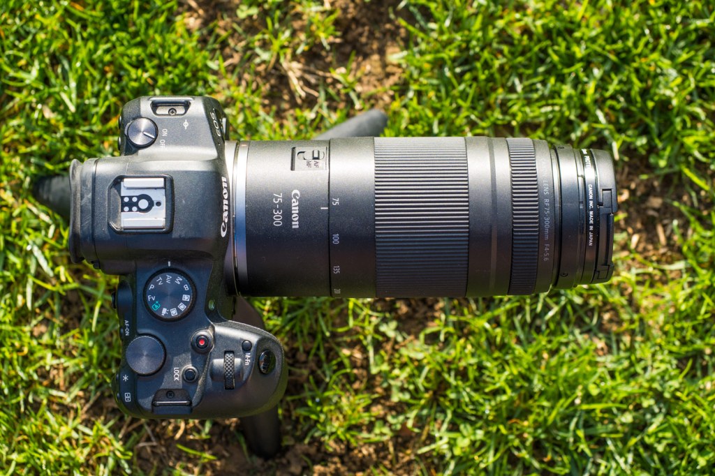 Canon RF 75-300mm f4-5.6 top view, mounted on Canon R6