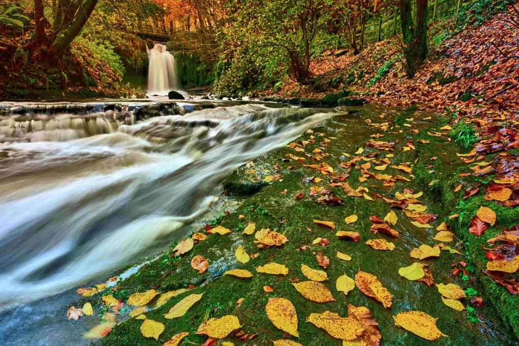 Westquarter Glen in Falkirk. Credit: John Cuthbert. SINGLE USE ONLY