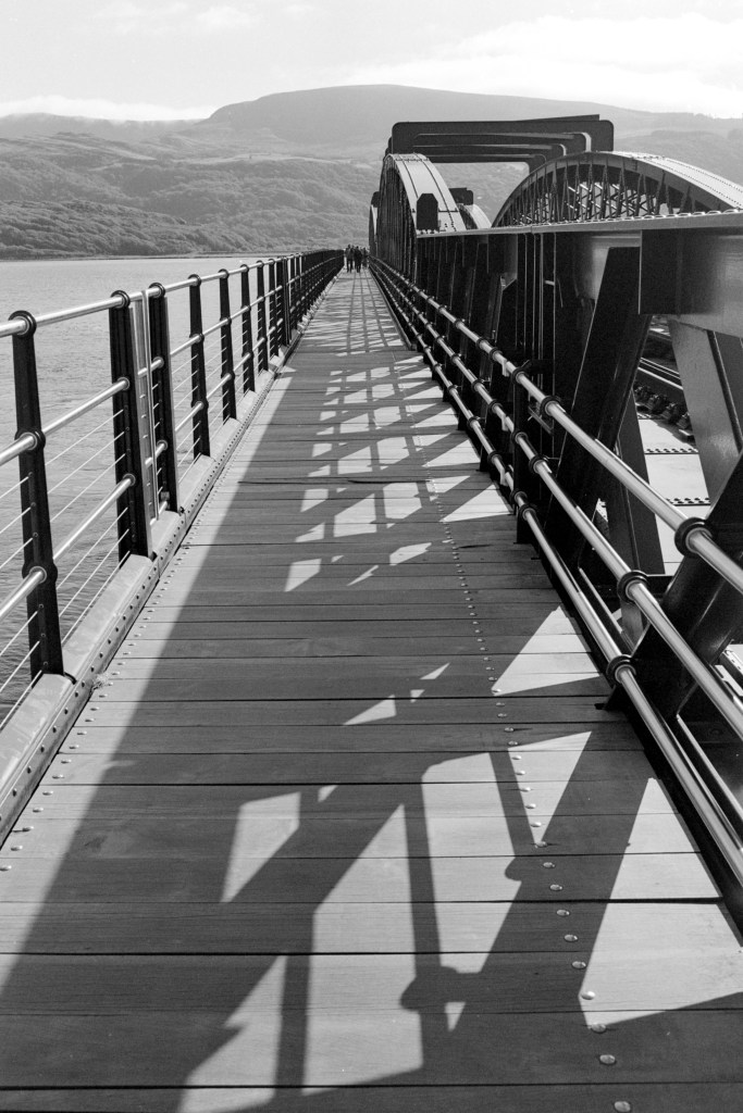 Leica MP, Leica Monopan 50