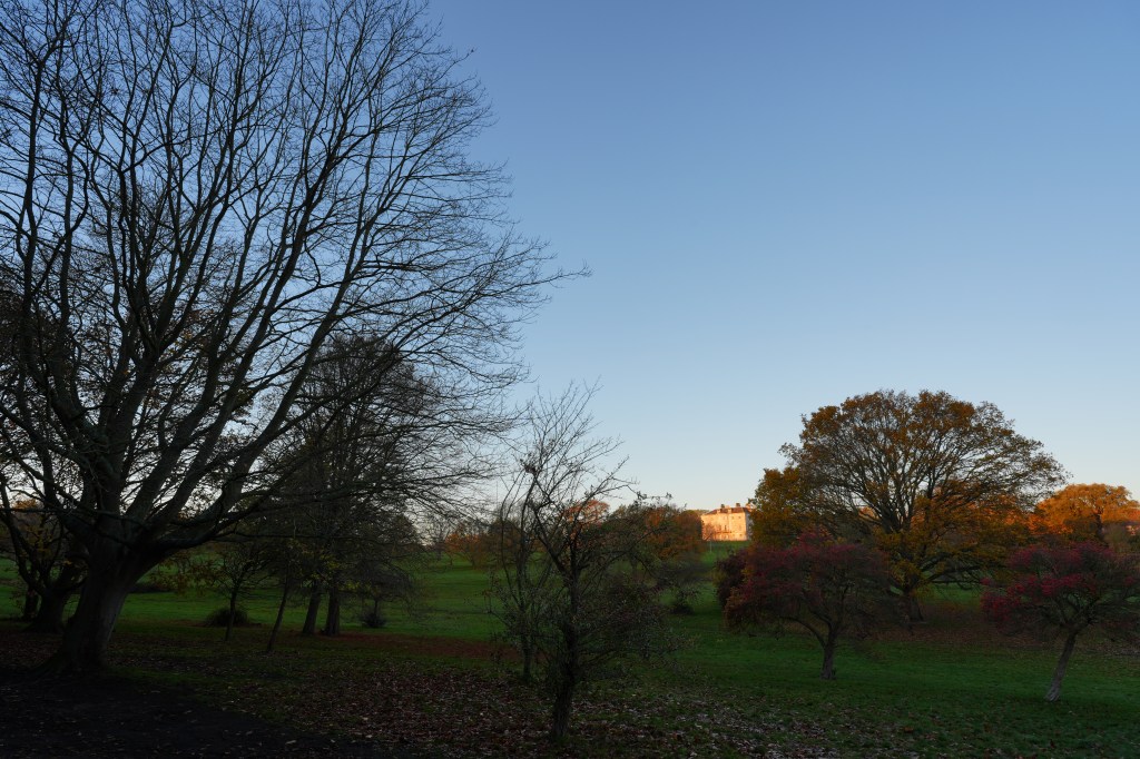 Sony A7 V Beckenham Place Park sunrise sample image