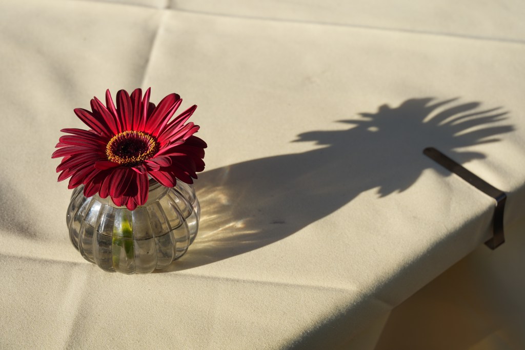 Sony A7 V table decoration sample image