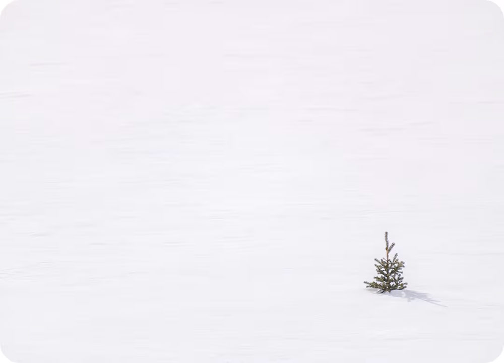 Snow photo tips