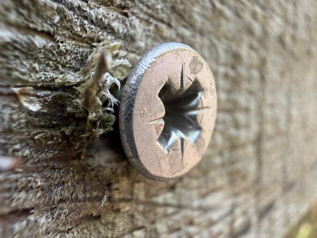 I love how macro shots can make even the mundane look magical