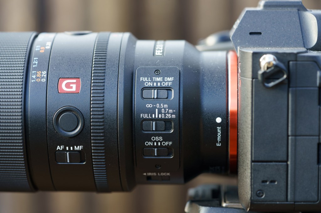 Sony FE 100mm F2.8 Macro GM OSS lens.