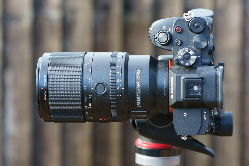 Sony FE 100mm F2.8 Macro GM OSS lens. Image credit: Angela Nicholson