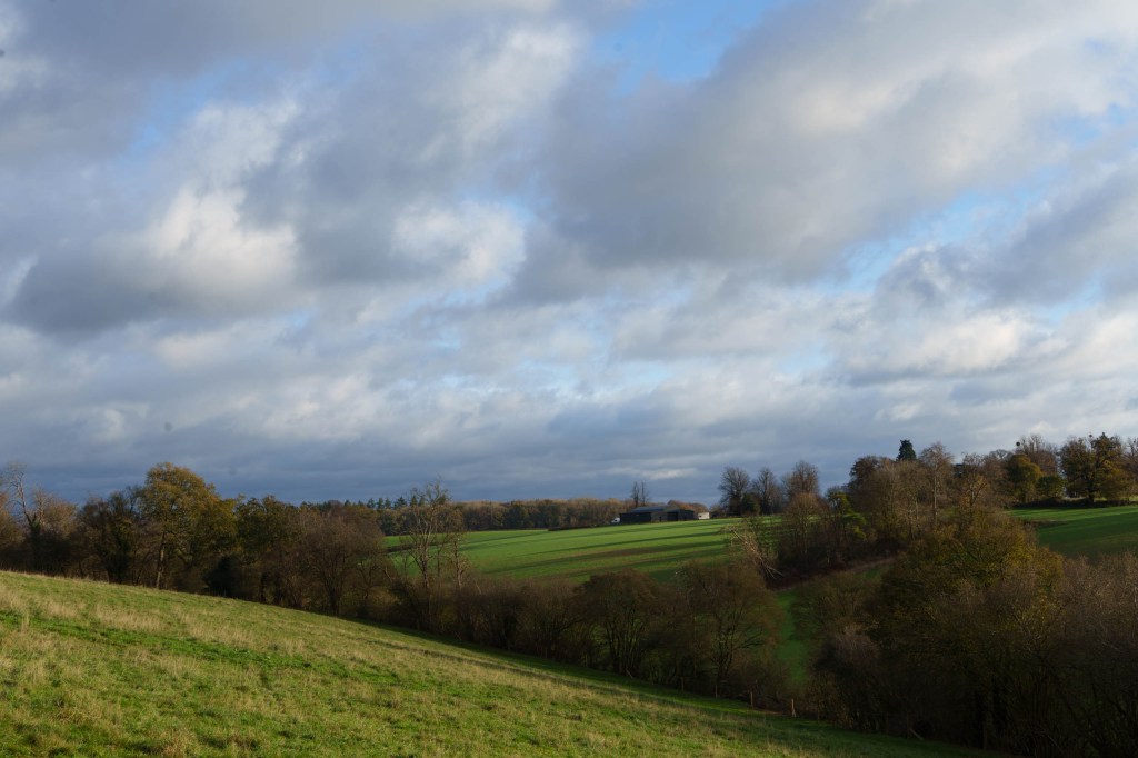 Sony A7IV detail sample