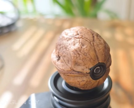 Walnut camera