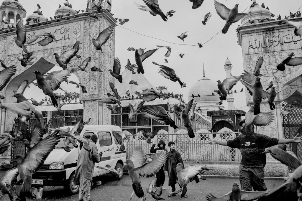 Visitors gather near the Dargah Hazratbal shrine in Srinagar, often pausing to photograph the pigeons that move freely through the courtyard. Across the city’s mosques and shrines, the birds share space with worshippers in quiet ease.