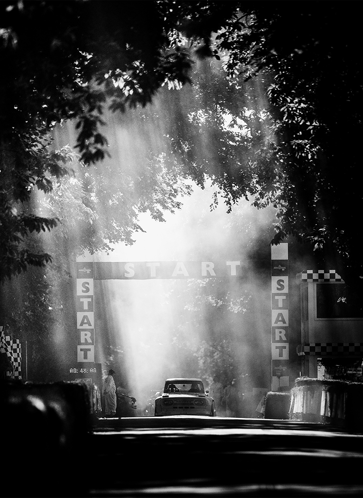 black and white photo of a car driving through trees