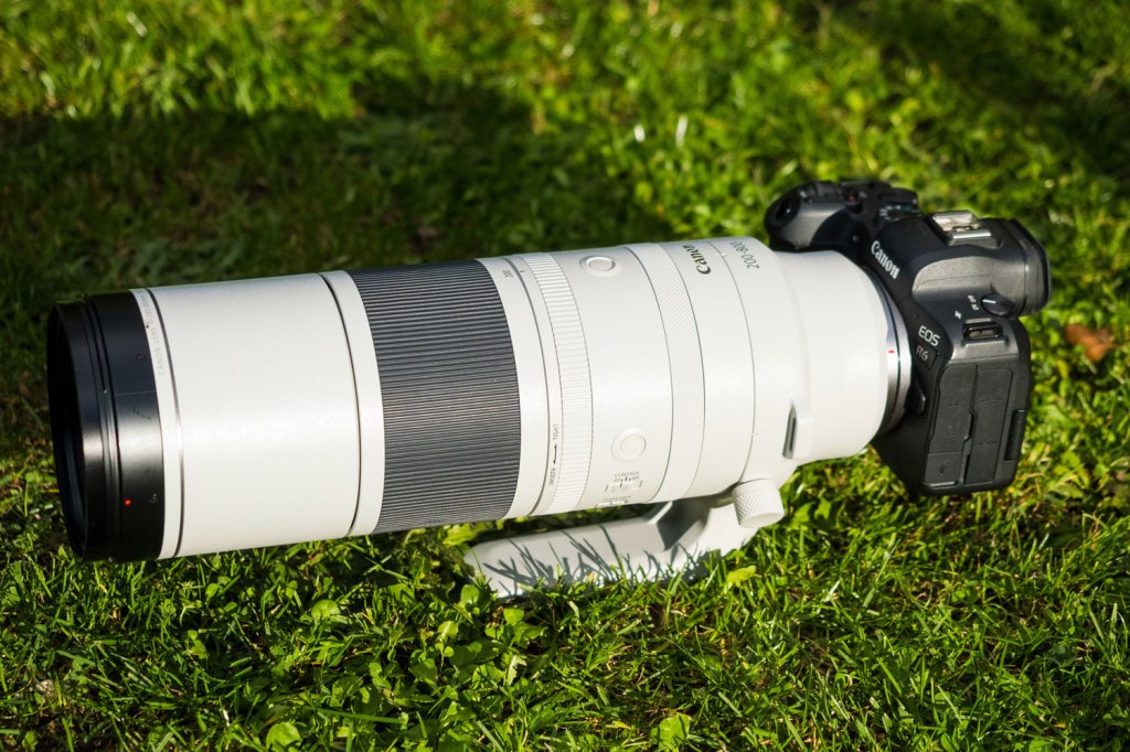 Canon RF 200-800mm F6.3-9 IS USM. Image credit: Matty Graham