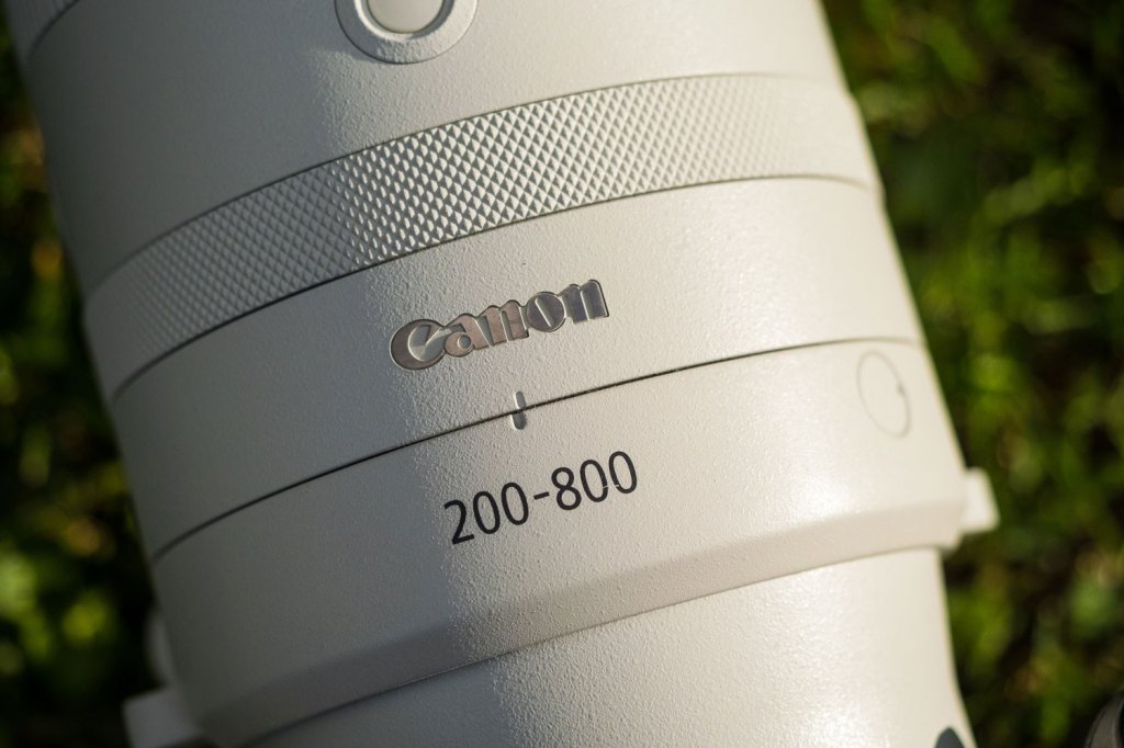 Canon RF 200-800mm F6.3-9 IS USM. Image credit: Matty Graham