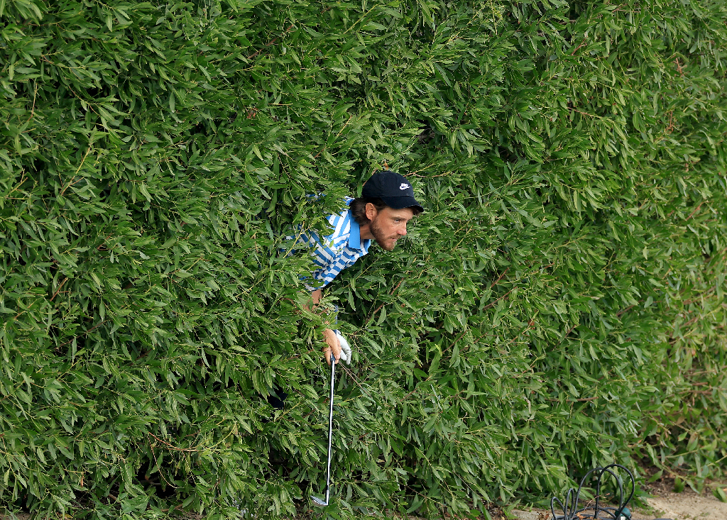Gold, Gold Award. Tommy Fleetwood emerges from a hedge by David Cannon. Image: David Cannon