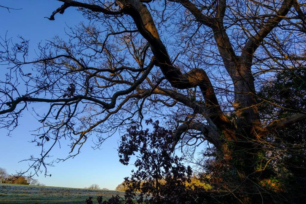 Fujifilm X-T30 III dynamic range real-world sample image