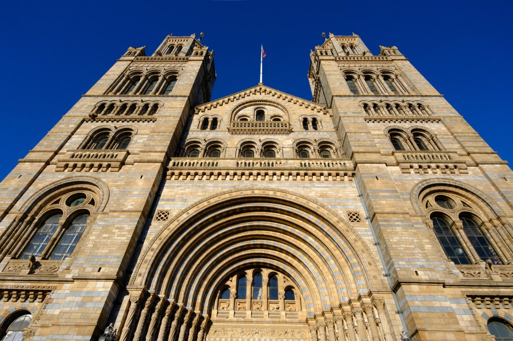 Fujifilm X-T30 III Natural History Museum, London sample image