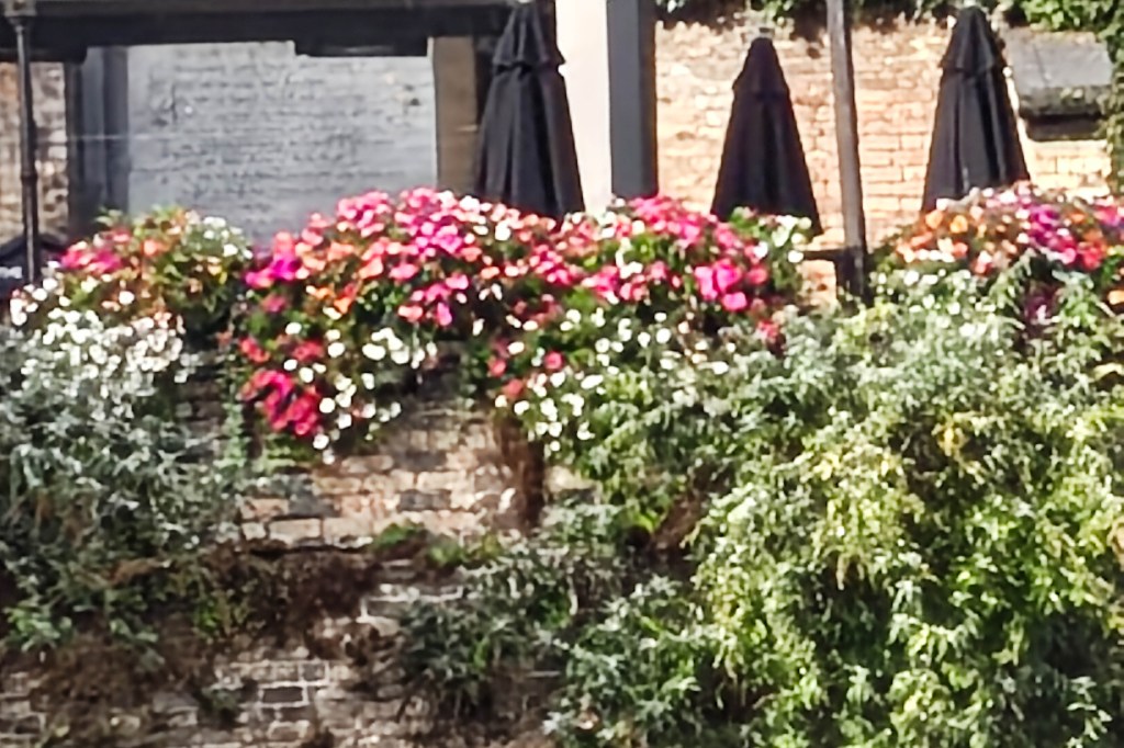 Motorola Edge 70 sample