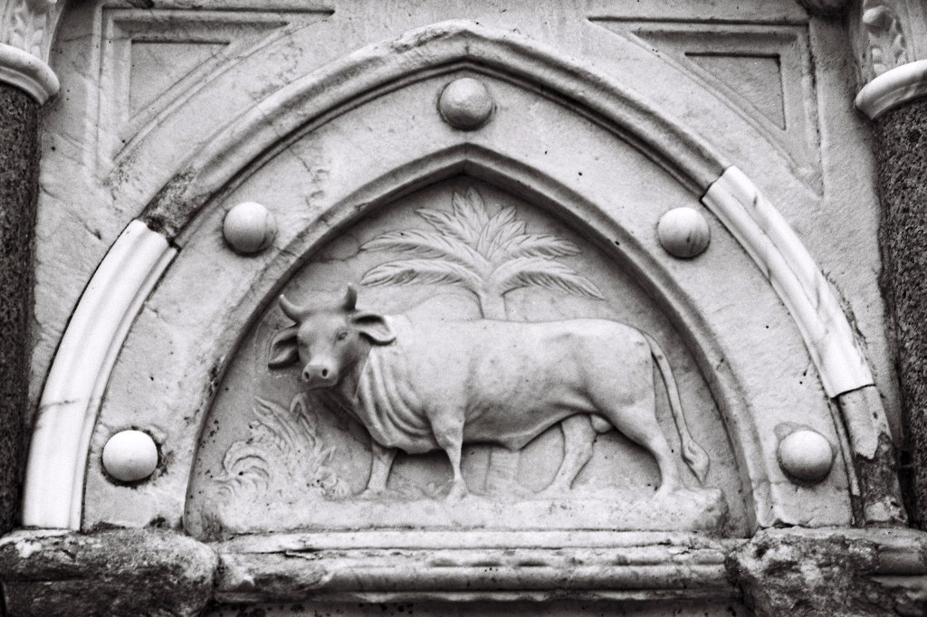 For this Nikon F90 shot, I used Leica Monopan black & white film. Photo: Geoff Harris