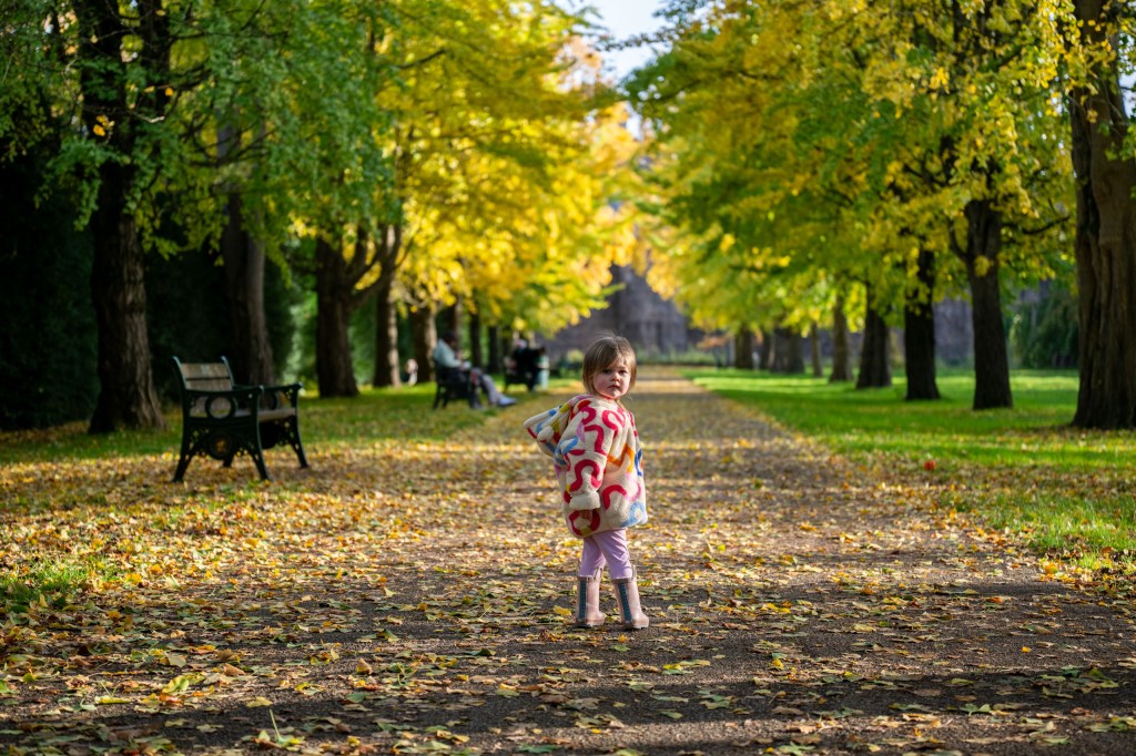 An image of a small child shot from a squatting position
