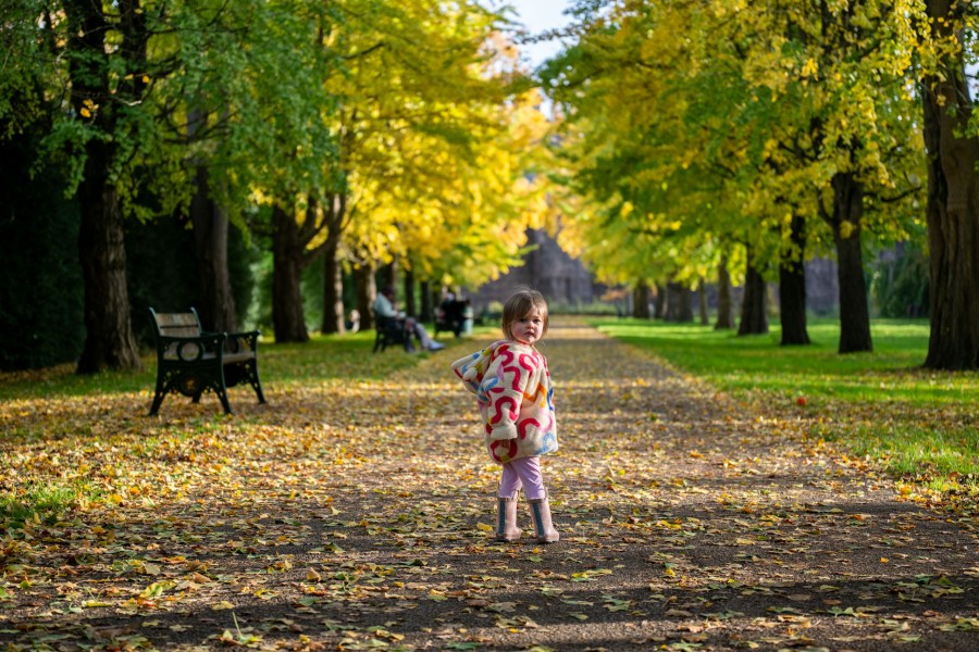 An image of a small child shot from a squatting position