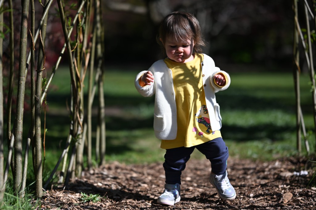 Nikon Z5II Sample Image_11. Credit: Amy Davies
