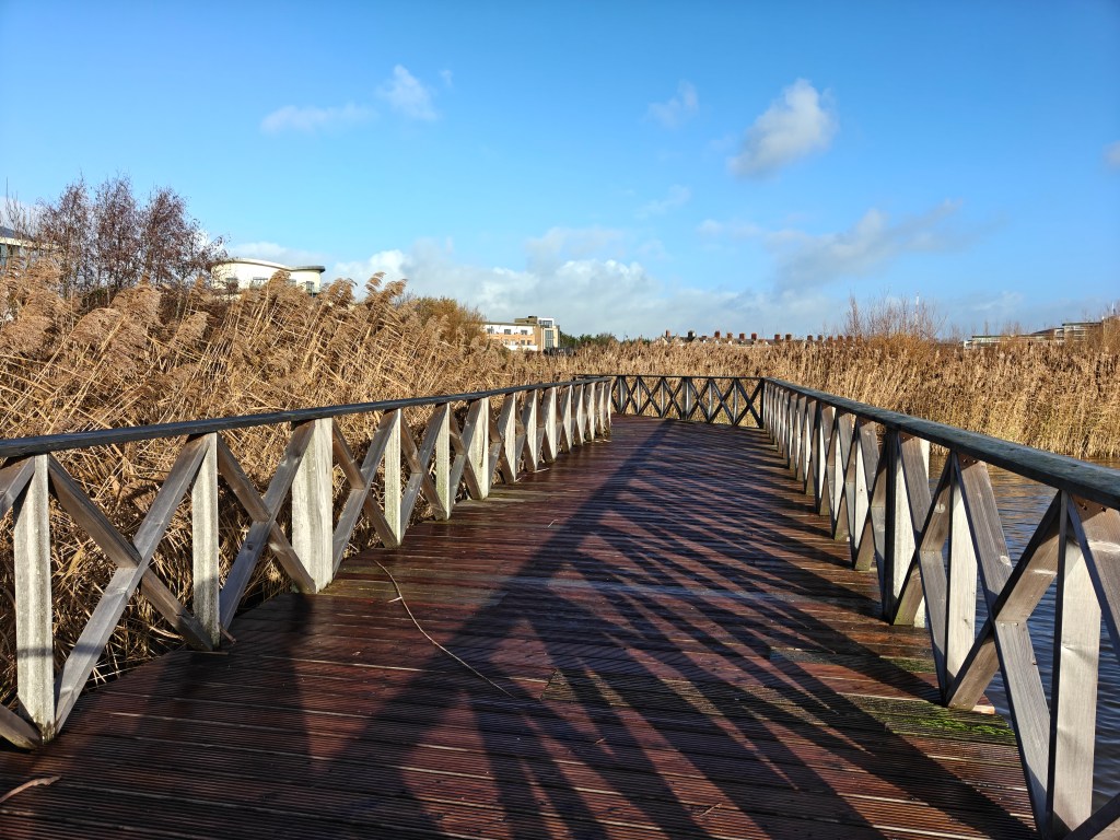 A sample image taken with the OnePlus 15