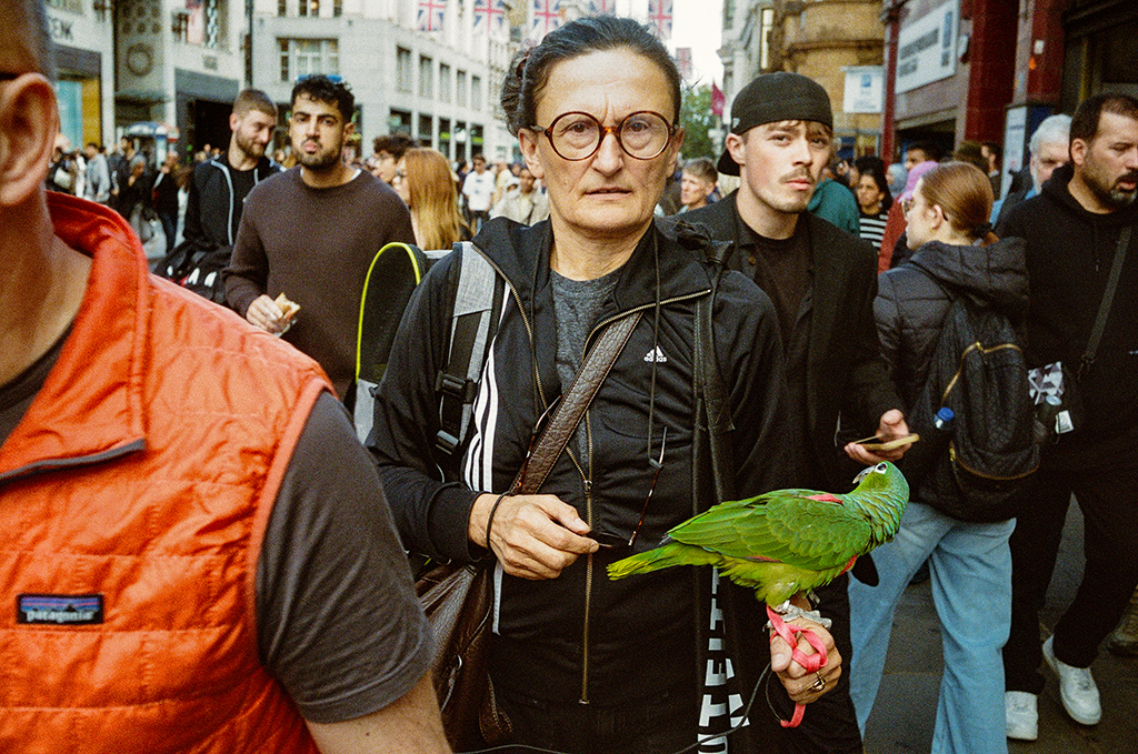 Parrot.
Camera: Konica Hexar AF
Film: 35mm, Kodak Portra 800
September 2025, London. Image credit: Cal Holland