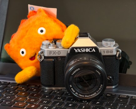 Close up using the telephoto camera on the Vivo X300 Pro. Photo Joshua Waller