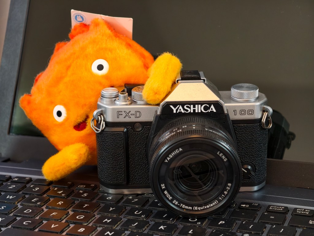 Close up using the telephoto camera on the Vivo X300 Pro. Photo Joshua Waller