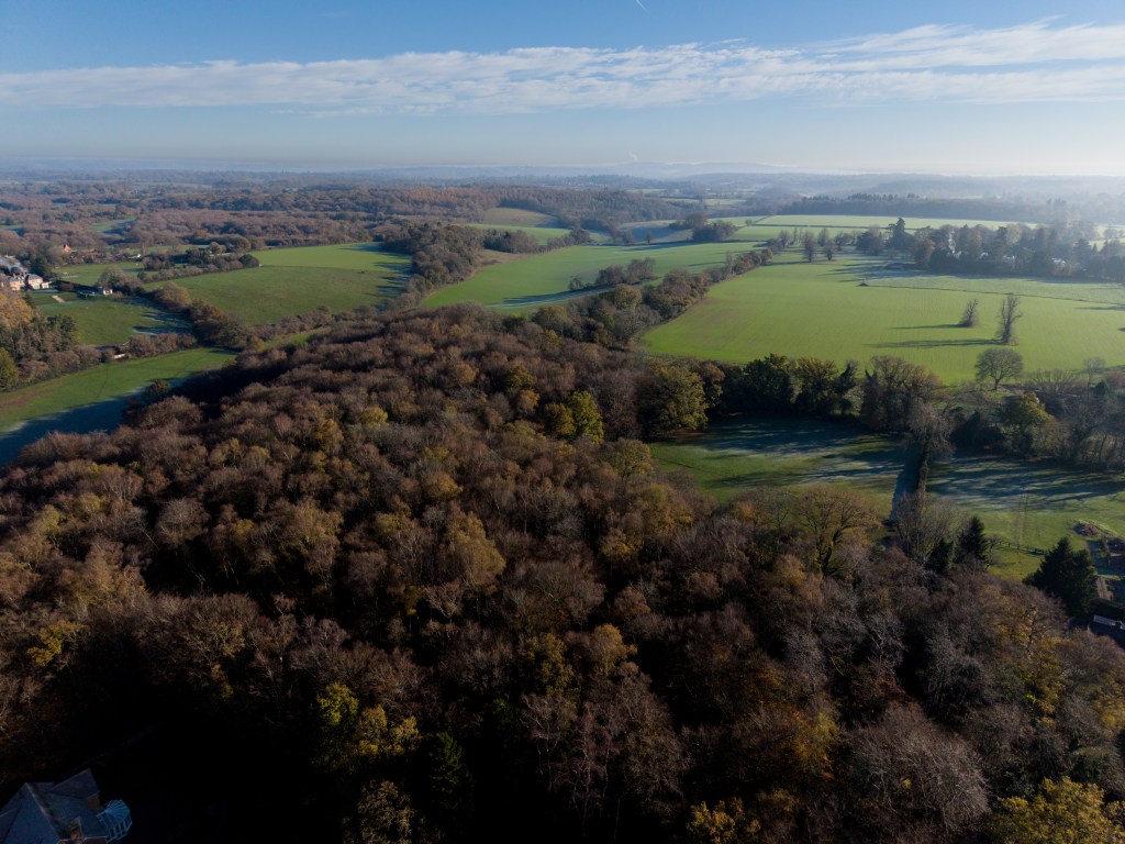 DJI Mini 5 Pro sample image. Image credit: Angela Nicholson