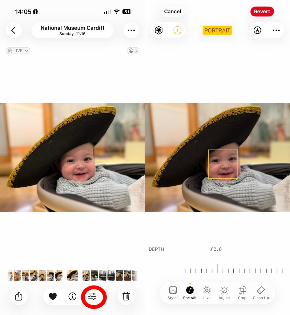 A screenshot showing some of the editing tools of the iPhone 17 Pro
