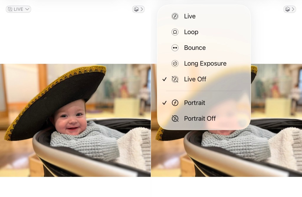 Screenshots showing the portrait options on your iPhone