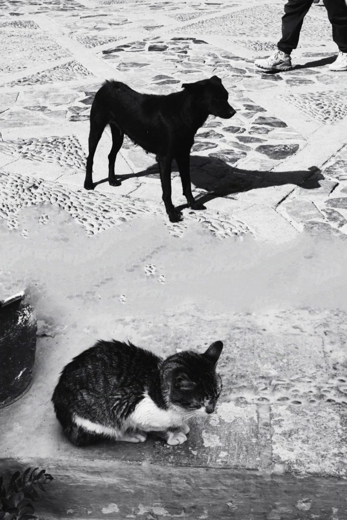 Friends on the street by Vesela Stankova, Bulgaria. SINGLE USE ONLY