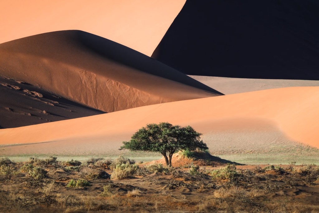 © J Fritz Rumpf, United States, Winner, Open Competition, Landscape, Sony World Photography Awards 2026