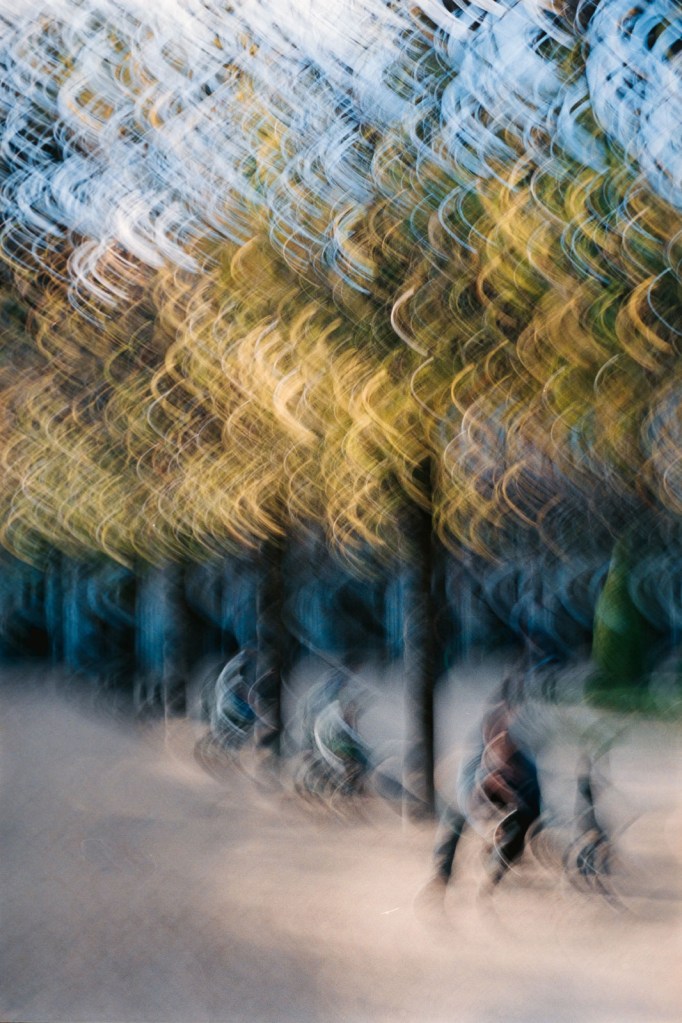 intentional camera movement landscape 