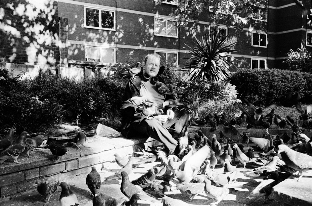 . Steve and Pigeons: Steve enjoys a quiet moment with pigeons in a calm corner beside a busy London street