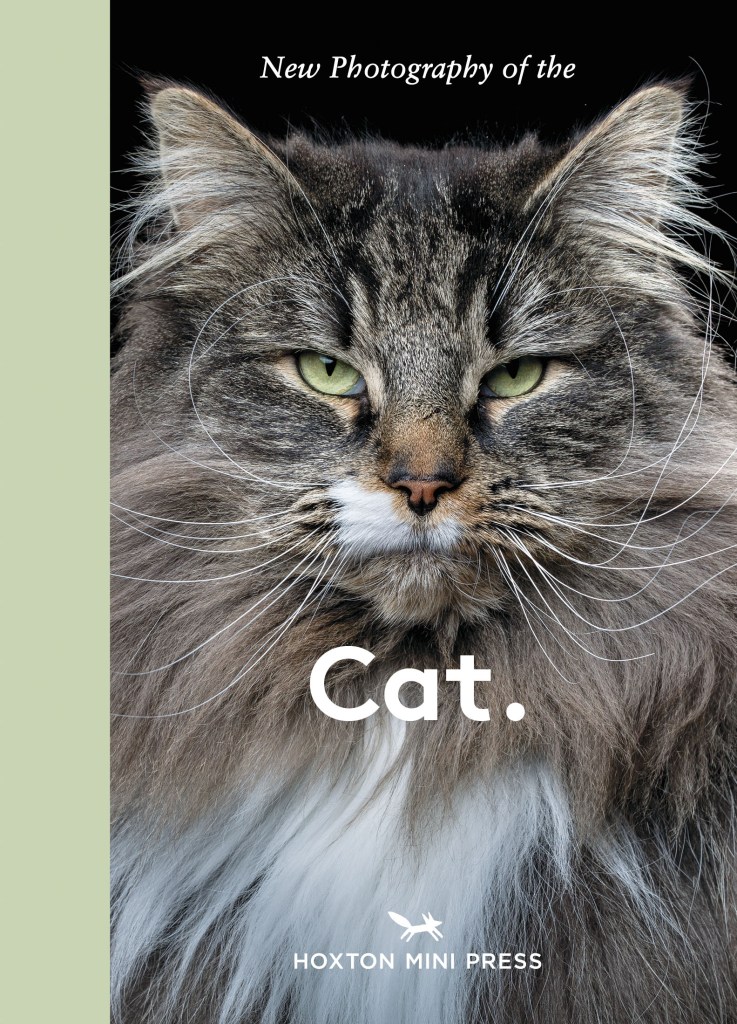 The cover of the book - New Photography of the Cat, by Lucy Davies