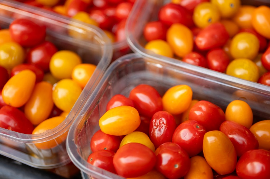 Plum tomatoes in plastic boxes