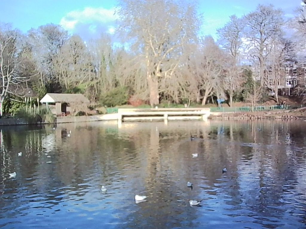 Kodak Charmera landscape sample image. 