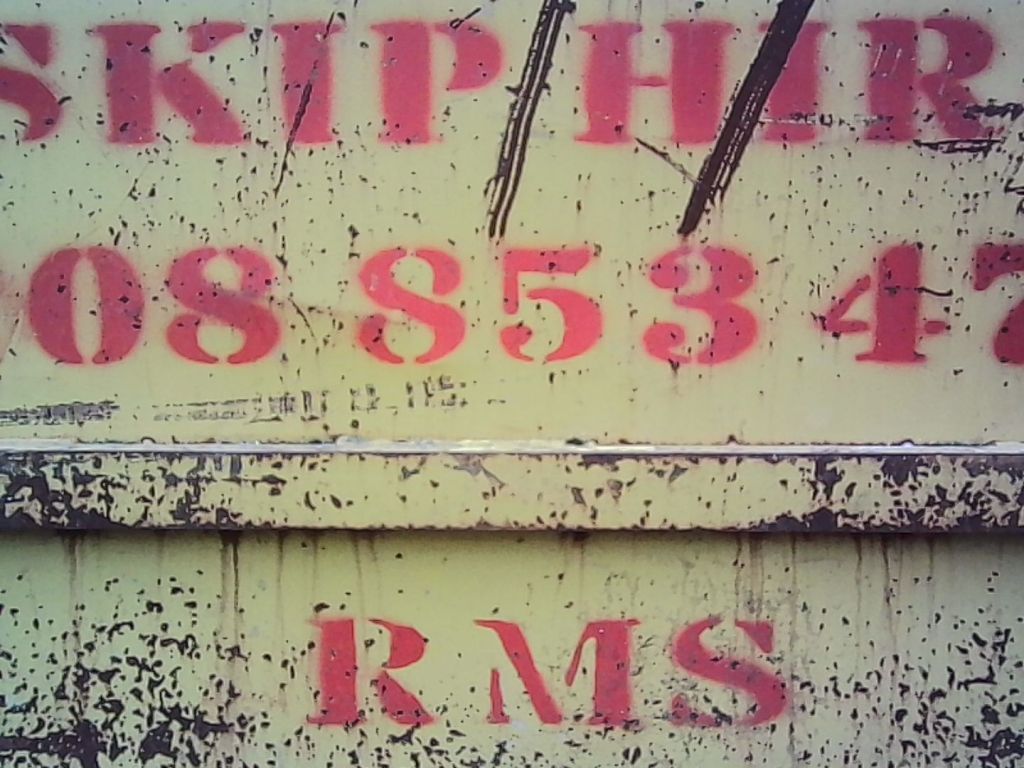 Kodak Charmera skip detail sample image. 